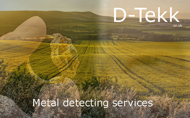 Dtekk metal detecting lost and found servives